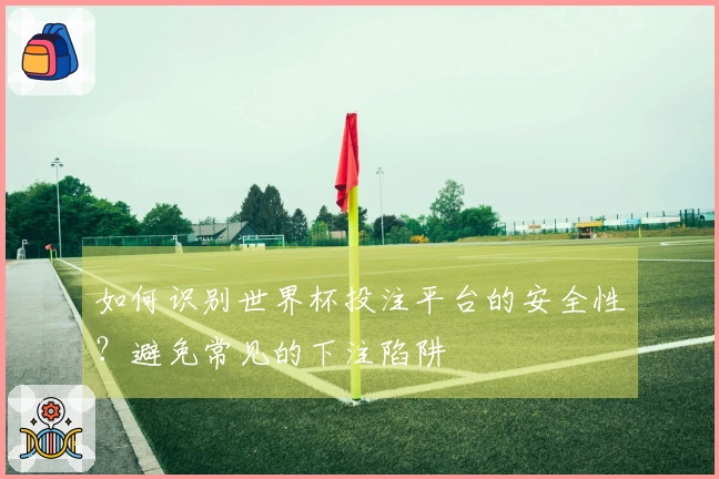 如何识别世界杯投注平台的安全性？避免常见的下注陷阱