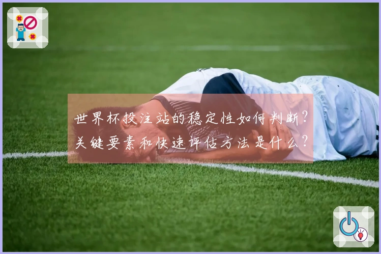 世界杯投注站的稳定性如何判断？关键要素和快速评估方法是什么？