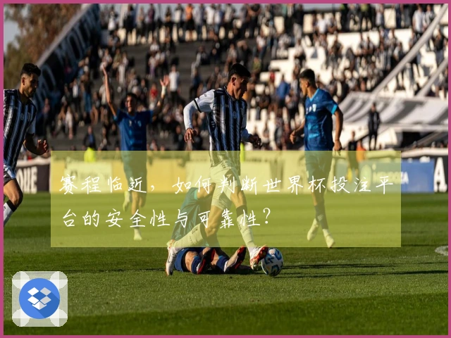 赛程临近，如何判断世界杯投注平台的安全性与可靠性？