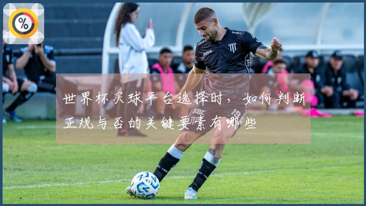 世界杯买球平台选择时，如何判断正规与否的关键要素有哪些