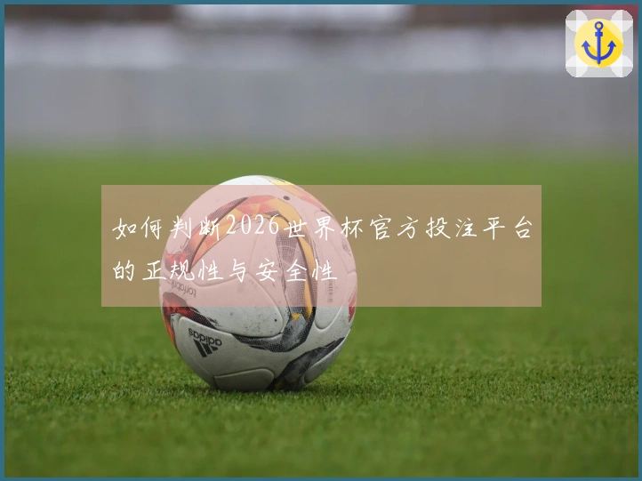 如何判断2026世界杯官方投注平台的正规性与安全性