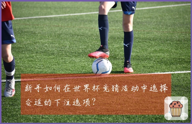 新手如何在世界杯竞猜活动中选择合适的下注选项？
