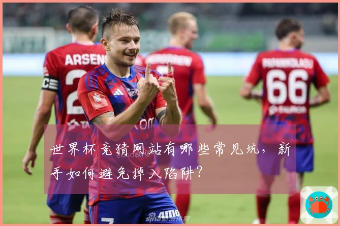 世界杯竞猜网站有哪些常见坑，新手如何避免掉入陷阱？