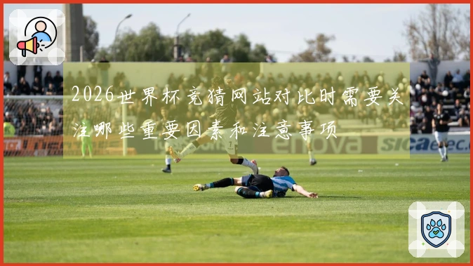 2026世界杯竞猜网站对比时需要关注哪些重要因素和注意事项