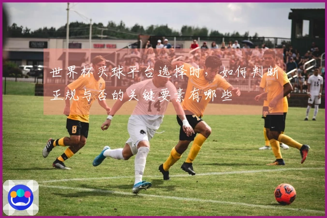 世界杯买球平台选择时,如何判断正规与否的关键要素有哪些