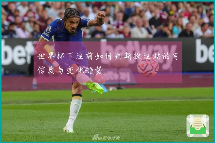 世界杯下注前如何判断投注站的可信度与变化趋势