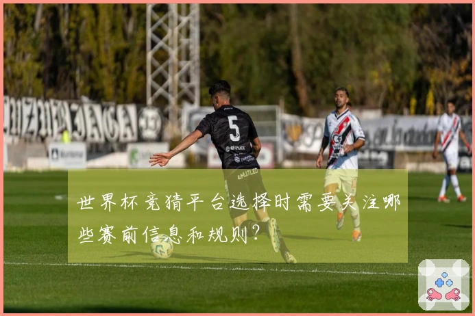 世界杯竞猜平台选择时需要关注哪些赛前信息和规则？