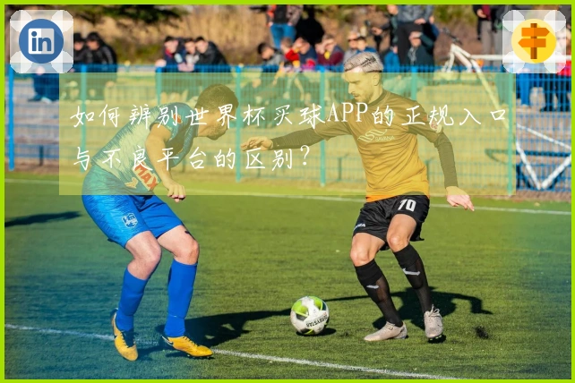 如何辨别世界杯买球APP的正规入口与不良平台的区别？