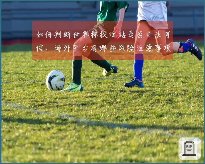 如何判断世界杯投注站是否合法可信，海外平台有哪些风险注意事项