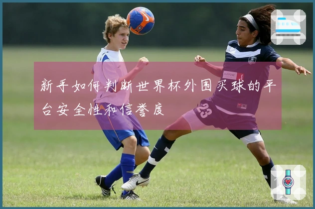 新手如何判断世界杯外围买球的平台安全性和信誉度