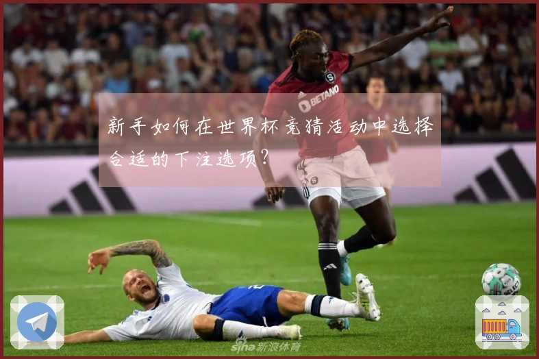 新手如何在世界杯竞猜活动中选择合适的下注选项？