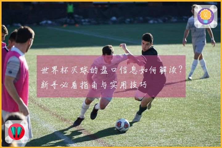 世界杯买球的盘口信息如何解读？新手必看指南与实用技巧