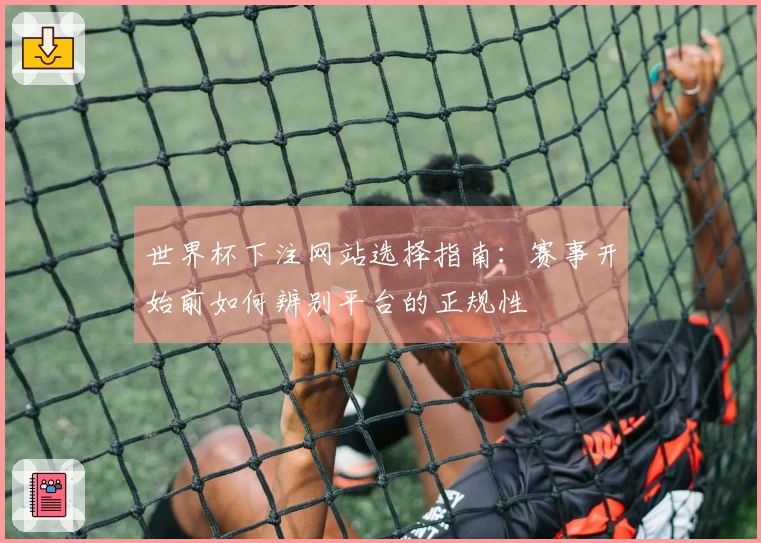 世界杯下注网站选择指南：赛事开始前如何辨别平台的正规性