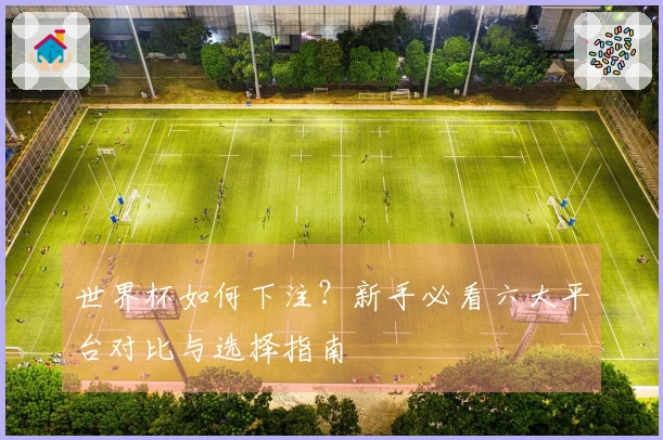 世界杯如何下注？新手必看六大平台对比与选择指南
