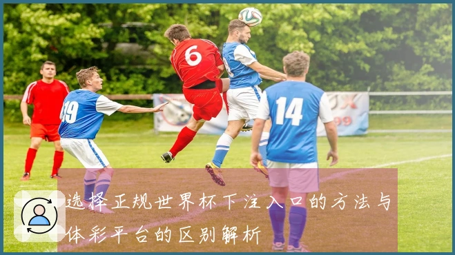 选择正规世界杯下注入口的方法与体彩平台的区别解析