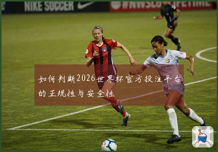 如何判断2026世界杯官方投注平台的正规性与安全性