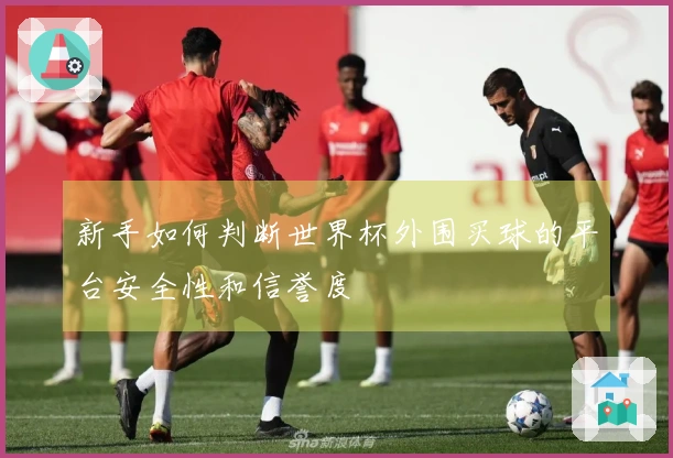 新手如何判断世界杯外围买球的平台安全性和信誉度