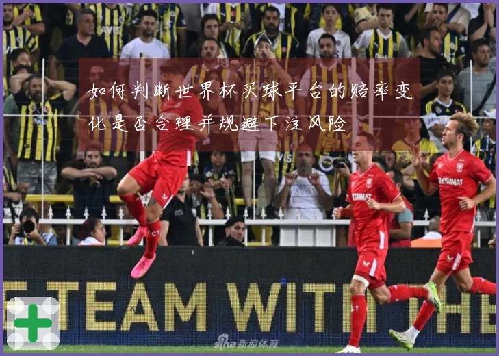 如何判断世界杯买球平台的赔率变化是否合理并规避下注风险