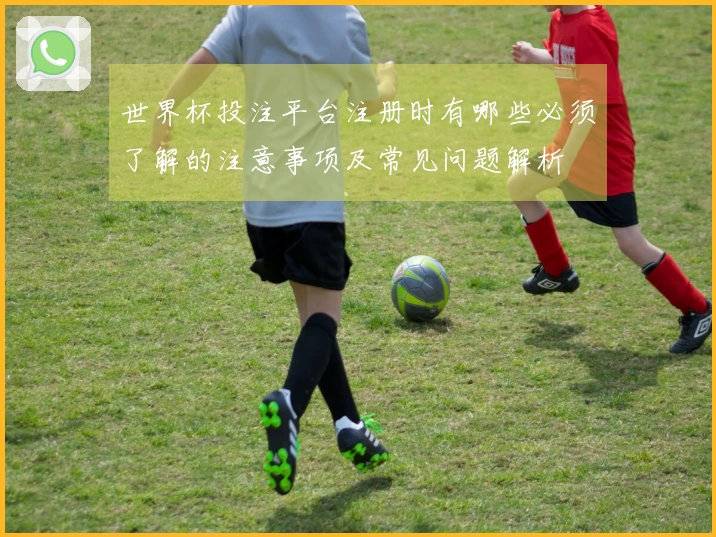 世界杯投注平台注册时有哪些必须了解的注意事项及常见问题解析