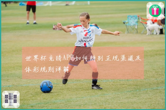 世界杯竞猜APP如何辨别正规渠道及体彩规则详解