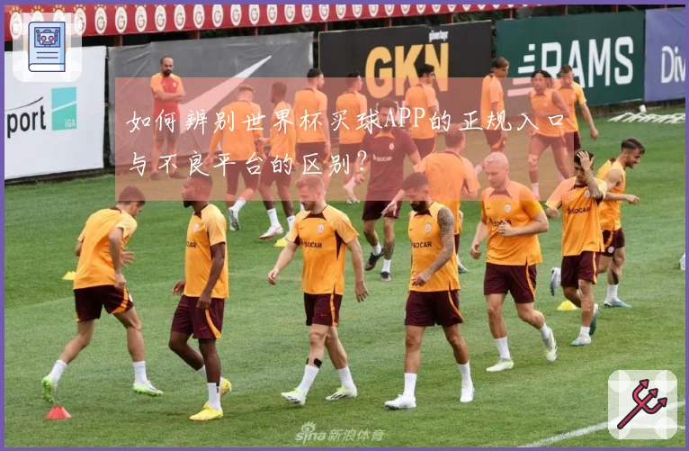 如何辨别世界杯买球APP的正规入口与不良平台的区别？