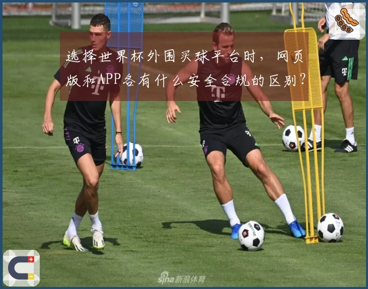 选择世界杯外围买球平台时，网页版和APP各有什么安全合规的区别？