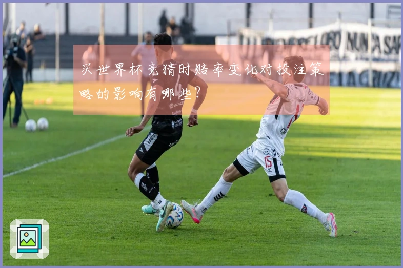 买世界杯竞猜时赔率变化对投注策略的影响有哪些？