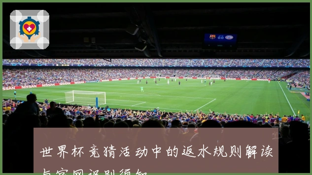 世界杯竞猜活动中的返水规则解读与官网识别须知