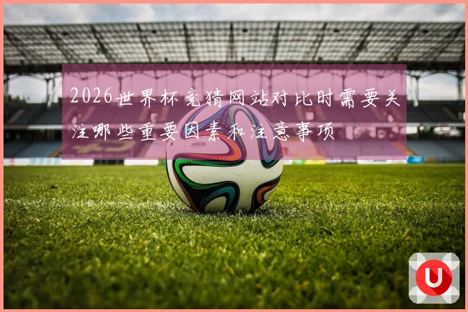 2026世界杯竞猜网站对比时需要关注哪些重要因素和注意事项